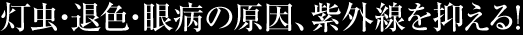 EސFEǎAO}I